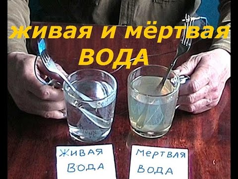 Живая мертвая вода в домашних условиях
