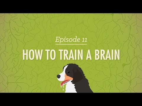 how to train in cbt