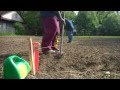 The Urban Garden Project Begins!