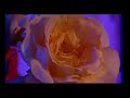 paolo bagnasco - avant de mourir
