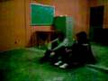 videos de patadota