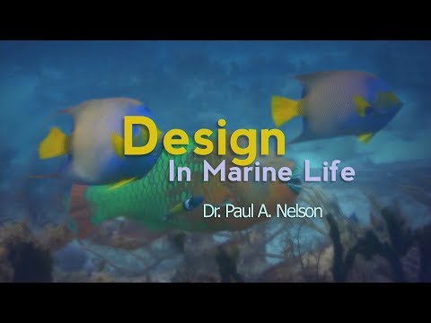 Origins: Design in Marine Life – Dr. Paul Nelson