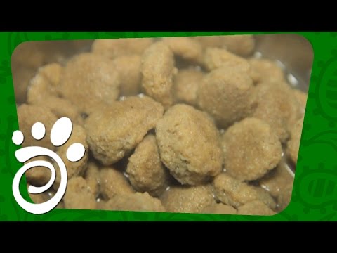 Сухой Корм, Влажный Корм И Консервы Для Собак Все О Домашних Животных