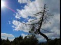 Timiharu (nepali christian song)