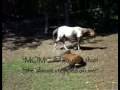 videos de BABY 2