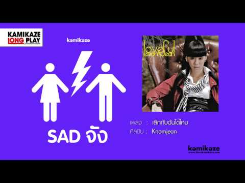 ฟังเพลงเพราะๆ