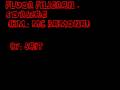 Fluor Filigran - Sörszag [km. Mc Ramona]