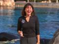 Wild Careers:  Julie Scardina