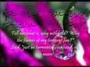 Rumi: (?? ???? ????) sang by Dariush.