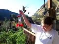 Attack of the Hummingbirds