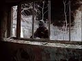The Fallout