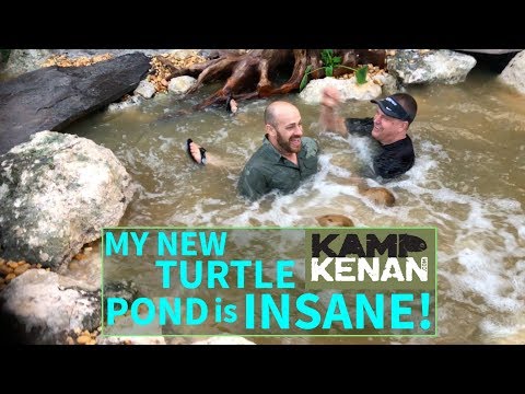 YouTube reptile video