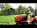 Cool dog mowing lawn (15 minute edition)