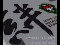 A Wish For The Stars