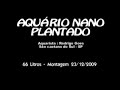 Aquário de 66 Litros Plantado Comunitário 