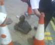 Man stuck in hole, Swansea!! part 2
