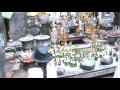 Wat Pu Champasack 7 of 8