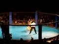 Nyquil Neal flying armbar