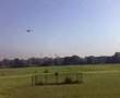 Vario SkyFox Kobold
