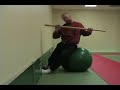 Swiss Ball Rolling Exercises