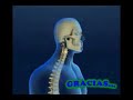 procesos vitales