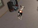 under-the-influence-of-giants-mamas-room-video.html