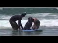 Imperial Beach dogs at play and Dogs Surfing hanging 20 Imperial Beach dogs at play and Dogs Surfing hanging 20