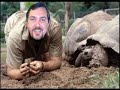 Helpdesk Hunter