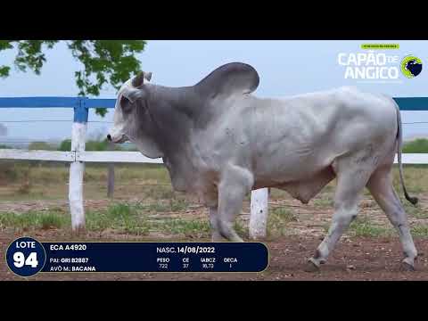 9 De Olho na Fazenda Capo do Angico