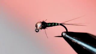 Black Pearl fly fishing nymph 