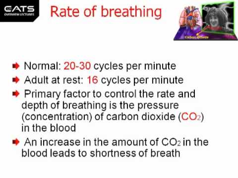 CATS ATPL HPL Rate of Breathing