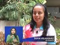 Manos y Verbo