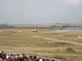 british army challenger 2 mbt live fire demo