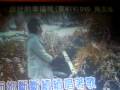 videos de Shuo Hao De Xing Fu Ne