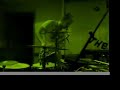 RACCOO-OO-OON - LIVE AT UPSET THE RHYTHM /1