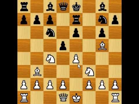 chess chess