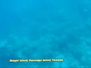 Coron Palawan Experience Coron Palawan Experience