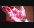  - MovieZen Video
