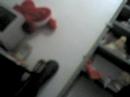 As Rivais!