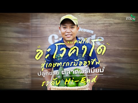 จากคนรักอะโวคาโด สู่เกษตรกรมืออาชีพ ปลูกขายตลาดพรีเมียมระดับ Hi-End | เทคโนโลยีชาวบ้าน