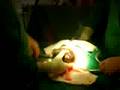 videos de nacimiento de sebastian horta