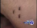 Healthbeat - West Nile Virus