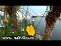 "Mid-Atlantic 500" Day 4 OCMD Sunset Marina Highlights