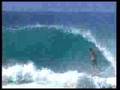 videos de Tube of the year 2003