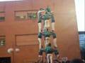 Arreplegats i4d7a