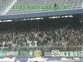 RB Salzburg - Rapid Wien, 23.3.2008