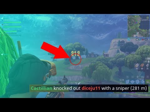 World Record! Longest hunting rifle shot in Fortnite (281m)