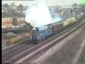 Mallard at Copmanthorpe Oct 1986