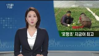 뉴스투데이