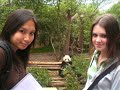 Chengdu China Trip